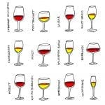 Wine Glass Illustrations