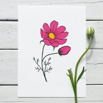 Cosmos A4 Print with flower